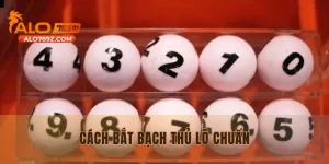 Cách Bắt Bạch Thủ Lô Chuẩn| Bí Quyết Chinh Phục Giải Thưởng